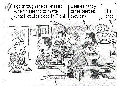 archived Daily cartoon